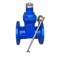 FDZ15X加密防盗软密封闸阀